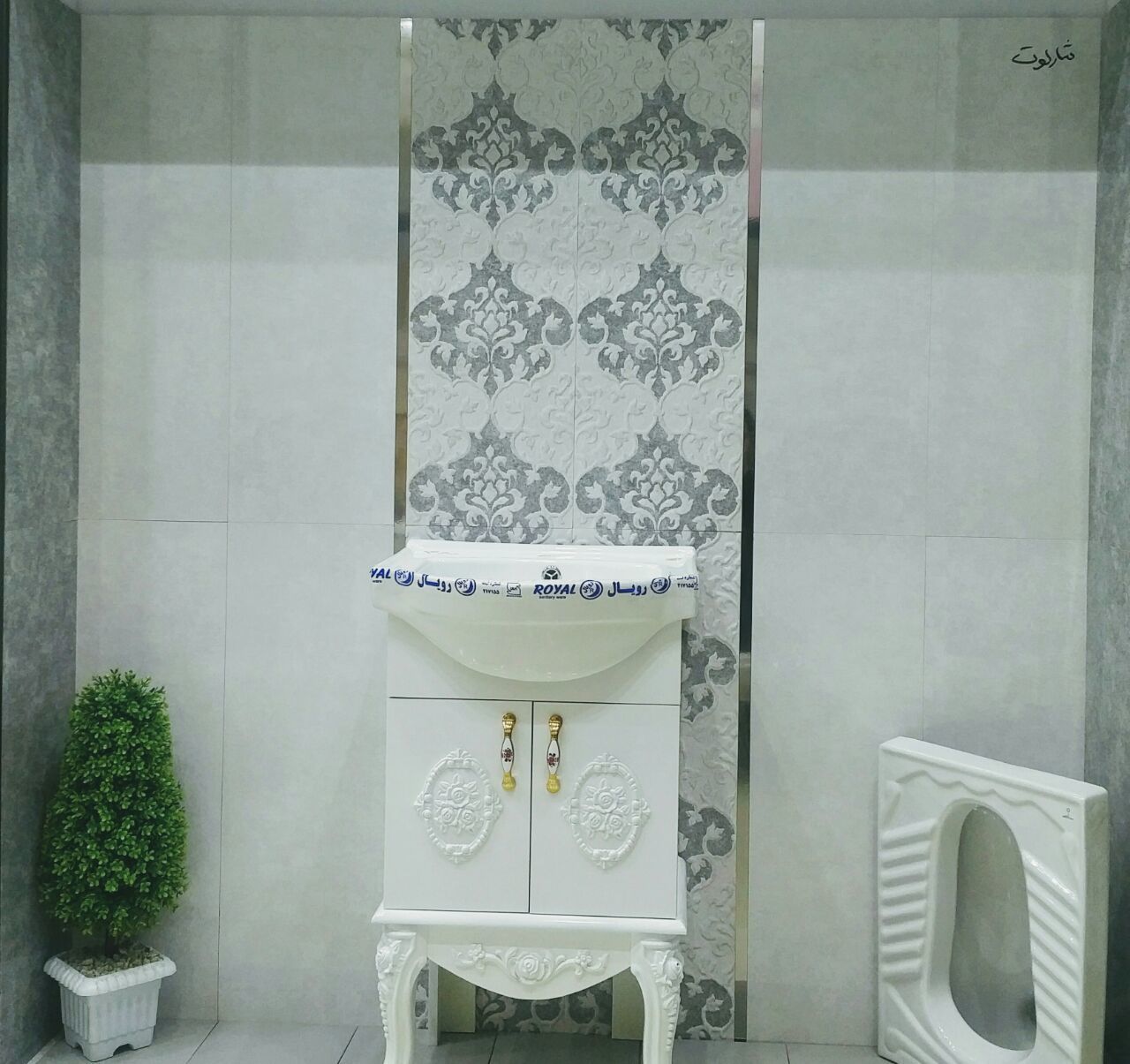 شارلوت-طوسی