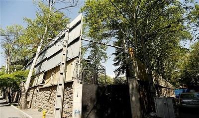 وجود مافیای قطع درختان در تهران