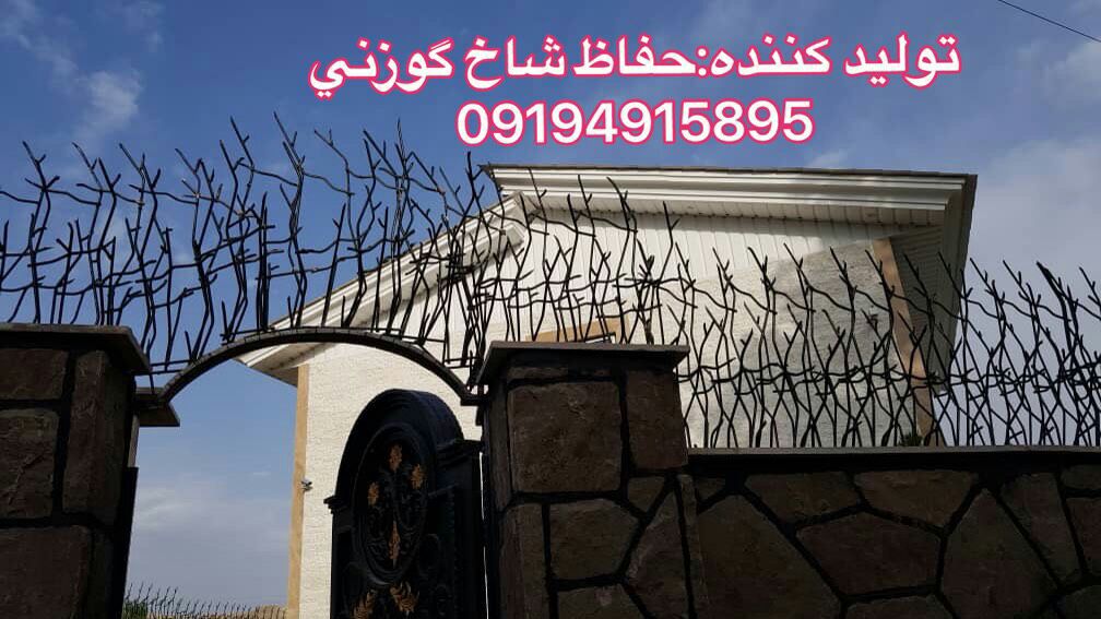 حفاظ-شاخ-گوزنی