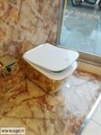 سیگما-واردکننده-اصلی-توالت-فرنگی-طلایی