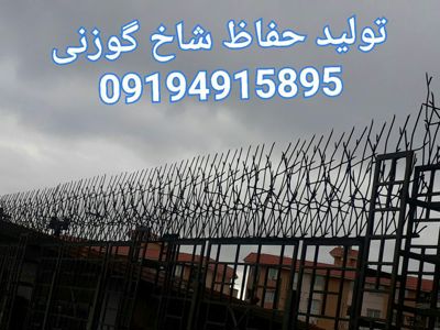 حفاظ-شاخ-گوزنی