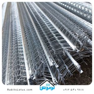 عکس شماره 41512 رابیتس