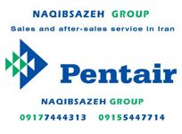 عکس شماره 18126 پمپ-تصفیه-Pentair-مدل-SUPER-FLO-300