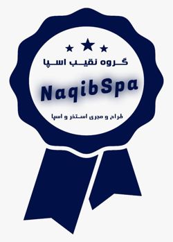 عکس شماره 37397 ساخت-استخر-در-خوزستان