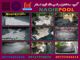 عکس شماره 23573 إنشا-حوض-سباحة-فی-عمان