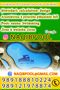 عکس شماره 24237 ساخت-استخر-جردن