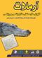 عکس شماره 3239 کفپوش-بتنی-تصویر-شماره-1