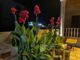 عکس شماره 36729 منزل-ویلایی130-متری-با-بهترین-لوکیشنو-بهترین-متریال