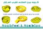 عکس شماره 37218 ساخت-استخر-در-قم