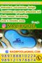 عکس شماره 37648 ساخت-استخر-در-بابلسر