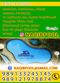 عکس شماره 37691 ساخت-استخر-در-نشتارود