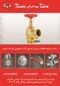 عکس شماره 4702 شیرالات-آگهی-در-شماره-323