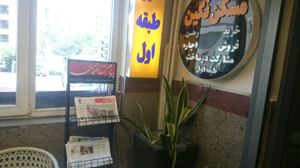 عکس شماره 861 مسکن-نگین